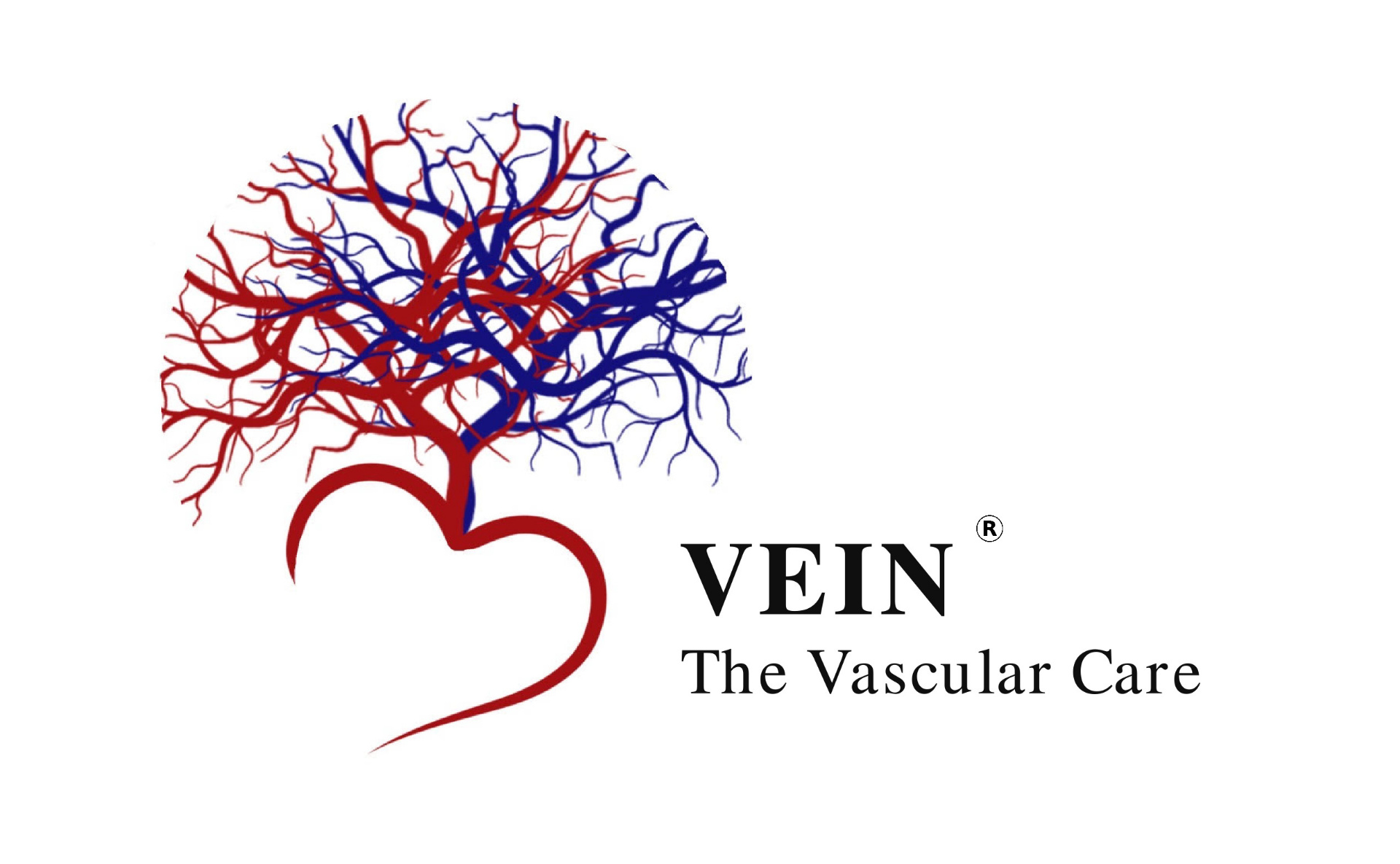 VEIN The Vascular Care